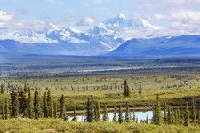 Wandbild: Denali (McKinley)