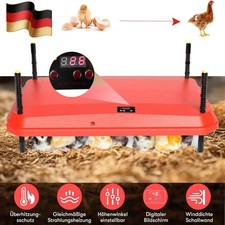 Wärmeplatte mit Thermostat