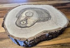 Nussbaum  Baumscheibe massiv