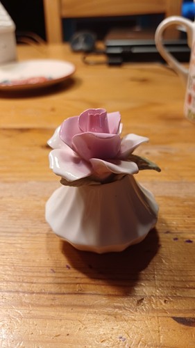 Radnor rose rosa - in, vase