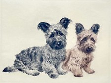 "2 Skye Terrier" Farbradierung
