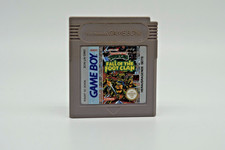 Nintendo Gameboy Teenage