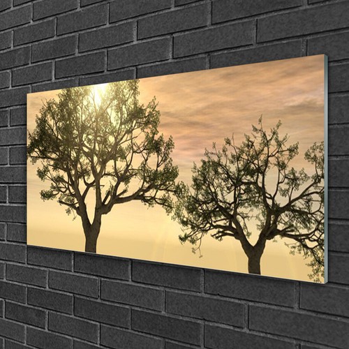 Acrylglasbilder 100x50