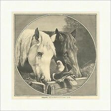 Tischgenossen Pferde Vögel Futtertrog Stall Stocks Tiere Heu Holzstich E 7131