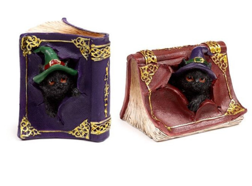 Hexe schwarze katze zauberbuch - hexe,