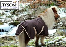 Minipony  Mini Shetty Klett