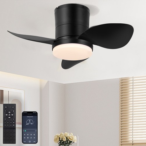 Deckenventilator mit