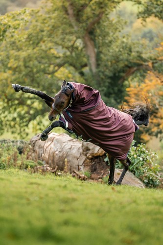 Horseware amigo 1200d - horseware, amigo®