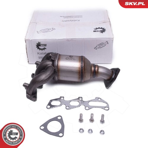 Esen skv 62skv012 katalysator - esen,