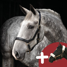 Horseware Rambo Micklem Headcollar & Back on Track Halfterschoner-Set