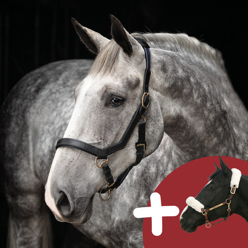 Horseware rambo micklem - horseware,