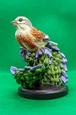 unsere schöne vogelwelt collection