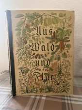 ❌KONVOLUT,SAMMELBILDER