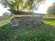 Brennholz, verkaufe Kaminholz Esche für 120€ /Ster, problemloser Abtransport