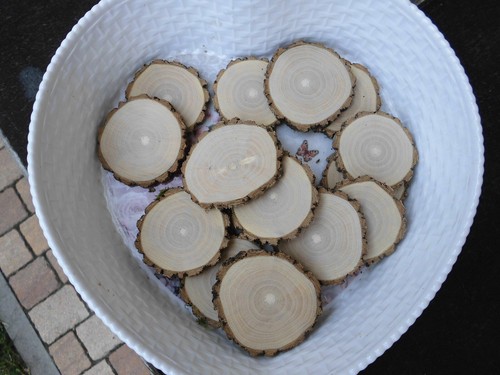 Holzscheiben astscheiben - x,