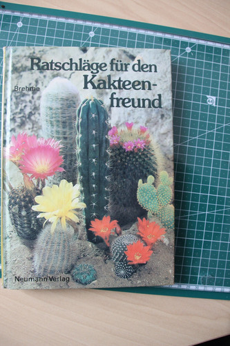 Ratschläge für den