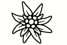 Aufkleber EDELWEIß EDELWEISS