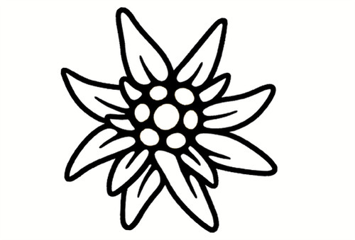 Aufkleber edelweiß edelweiss - aufkleber,