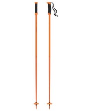 Neue ATOMIC REDSTER Q SQS