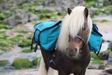 Pony Pack Sattel