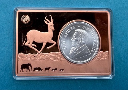 Silber krügerrand 2024 - oz,