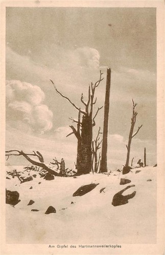 Hartmannsweilerkopf gipfel - am,
