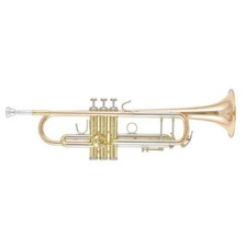 B&S 3137G-L Challenger I