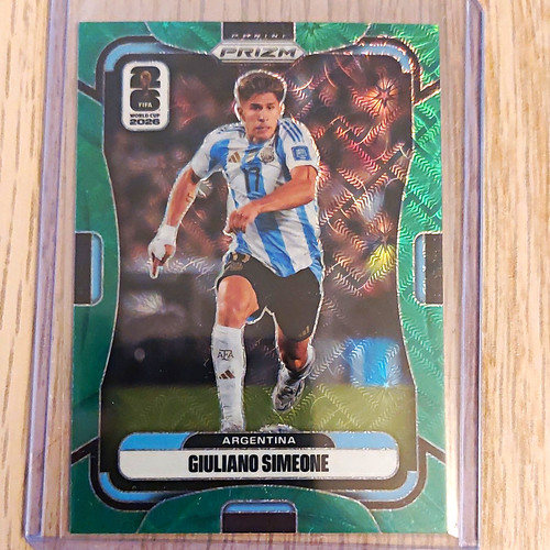 Panini prizm fifa world cup - world,