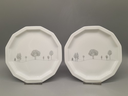 Rosenthal polygon winterreise - rosenthal,