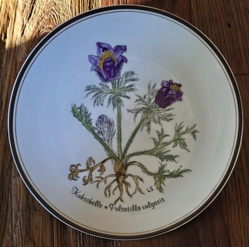 Rosenthal teller wandteller - rosenthal, teller/wandteller
