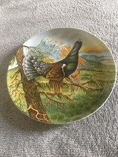 AK KAISER Porzellan Wandteller Sammelteller Auerhahn ca. 24 cm Vintage