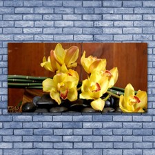 Acrylglasbilder Wandbilder