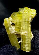 23 Karat Top Qualität