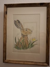 Bild Hase , Zeichnung , Aquarell und Buntstift. Original