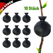 10 Stk Pflanze Bewurzelung