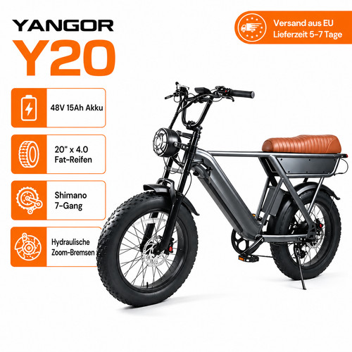 Yangor y20 plus - yangor,
