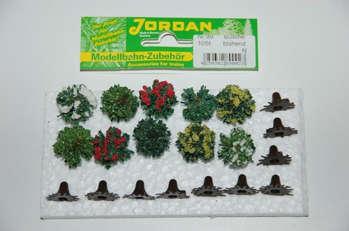Jordan büsche blühend - jordan,
