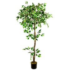 Ficus Benjamin Kunstpflanze