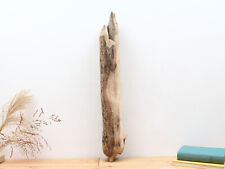 Treibholz Stamm 66cm für Lampen, Gartendeko, Terrarium, Schwemmholz zum basteln