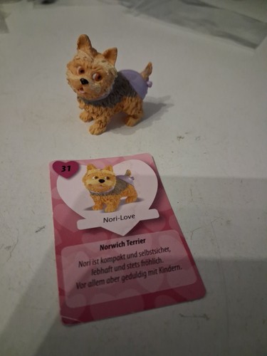 Chi love and - and, simba