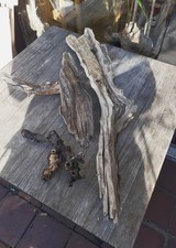 3 XL Treibholz Schwemmholz