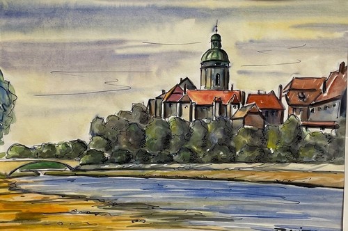 Blick auf neuburg donau vom - blick,