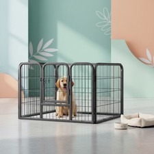 Welpenauslauf Hunde Freigehege