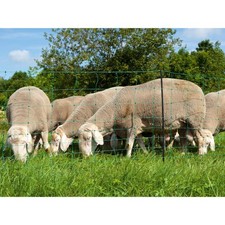 OviNet Schafnetz, grün, Höhe