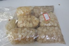 Konvolut  Helle Knöpfe  1,6