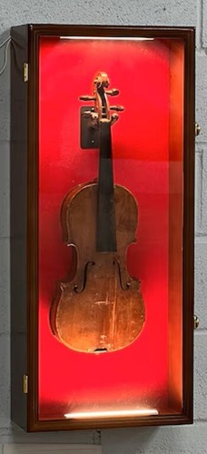 Ukulele display case led - display,
