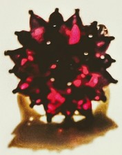 Vintage 925 Sterling Silber Ring Rosenschliff Granat Böhmische Edelsteine