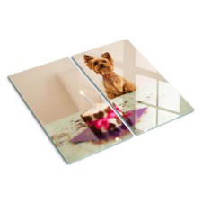 Glas-Herdabdeckplatte