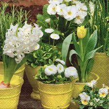 4 Servietten Napkins