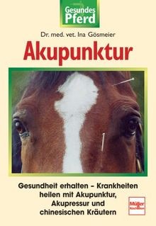 Akupunktur gesundheit - akupunktur:,